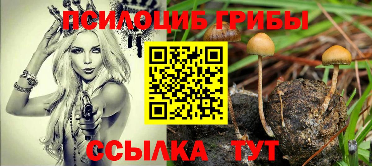 Псилоцибиновые грибы ЛСД Гатчина