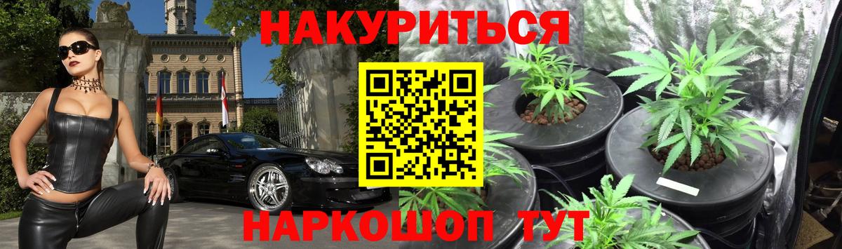 Гатчина  Конопля марихуана  Вход с VPN  Бошки Шишки ГИДРОПОН  Конопля гибрид 